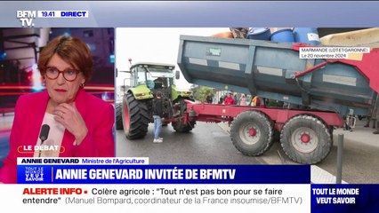 Colère agricole: "Je ne généralise pas les comportements minoritaires", assure Annie Gennevard (ministre de l'Agriculture)