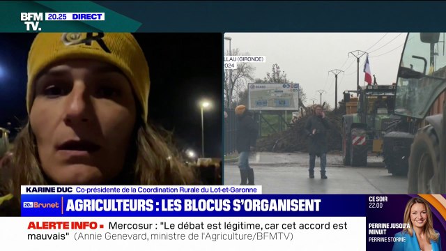 Karine Duc (Coordination Rurale du Lot-et-Garonne): Nous sommes sur le port de Bordeaux qui est entièrement bloqué pour dénoncer les importations de céréales à outrance