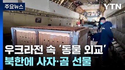 우크라전 격화 속 '동물 외교'...푸틴, 북한에 사자·곰 선물 / YTN