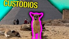 Perros custodios de las pirámides de Egipto