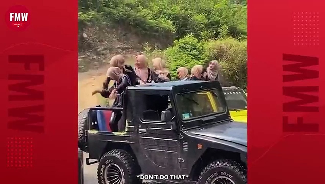 Funny video