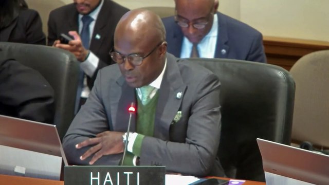 Anbasadè Gandy Thomas drese yon tablo negatif sou sityasyon fanm ak tifi yo ap sibi nan peyi Dayiti.