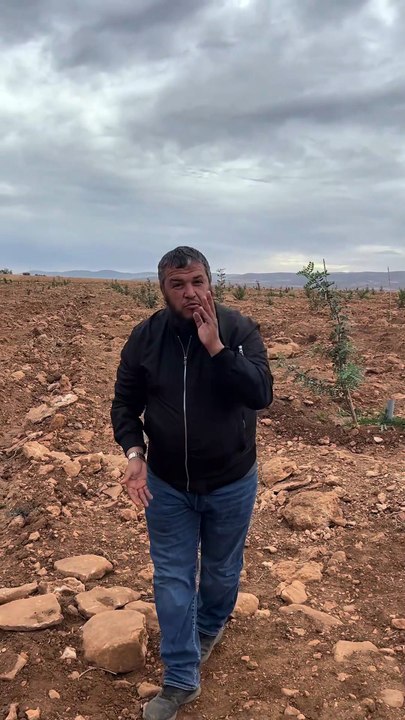 لا يصدق ...مشروع واعد لزراعة الخروب بمزارع بوبلنزة بتلمسان