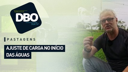 Pastagens: Ajuste de carga no início das águas