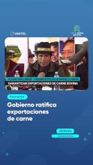 Gobierno ratifica exportaciones de carne