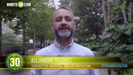 Sorprendieron a un hombre que mantenía en cautiverio a un ocelote en Bello