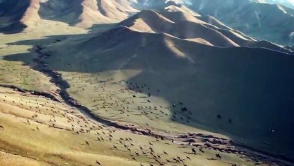 CỬU CHÂU PHIÊU MIỄU LỤC - TẬP 02