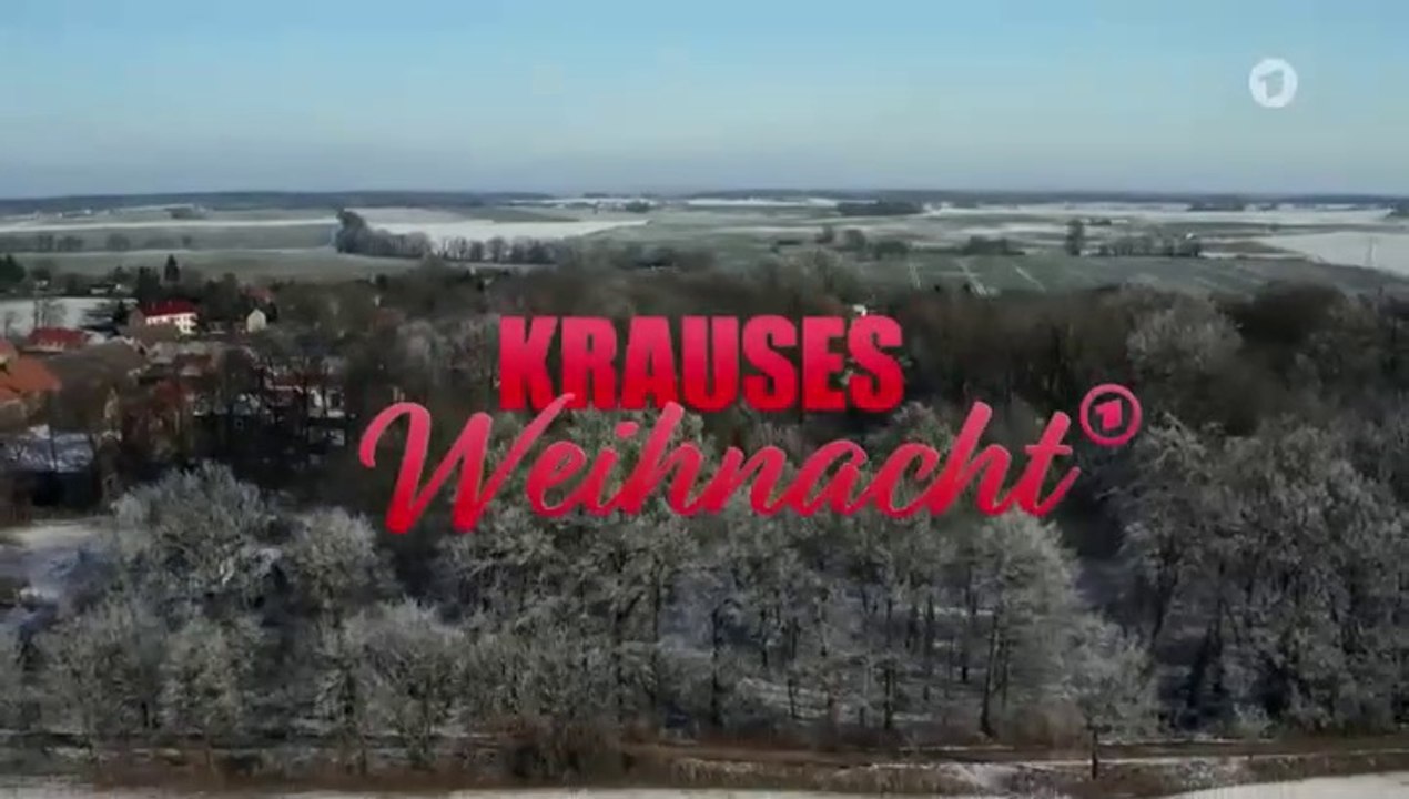 Polizeihauptmeister Krause -09- Krauses Weihnacht