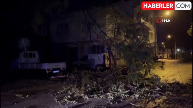 Bursa'da Şiddetli Rüzgar Ağaçı Devirdi, Yol Kapandı