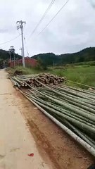 How many bamboo trucks are there waiting to be loaded on the roadside?
