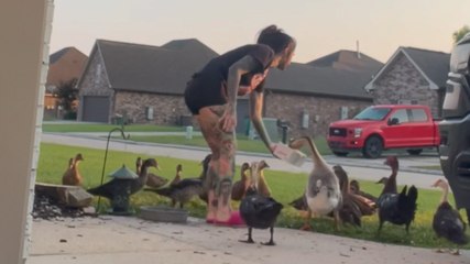 Sweet Woman Becomes Neighborhood Duck Lady