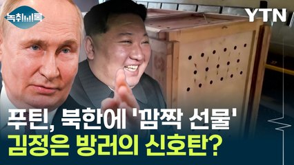 푸틴이 북한에 보낸 '깜짝 선물'...김정은 방러의 신호탄? [Y녹취록] / YTN
