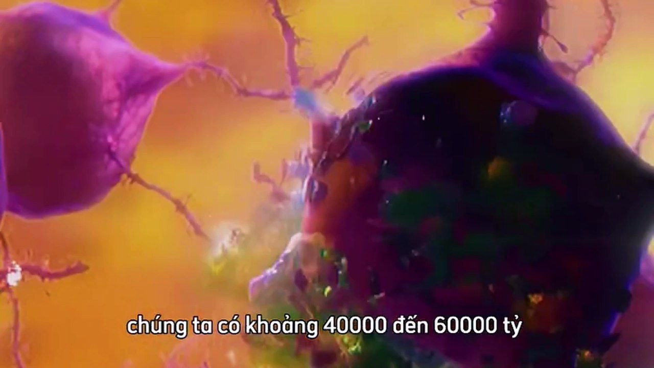 Minh họa - Tìm hiểu về Ung thư