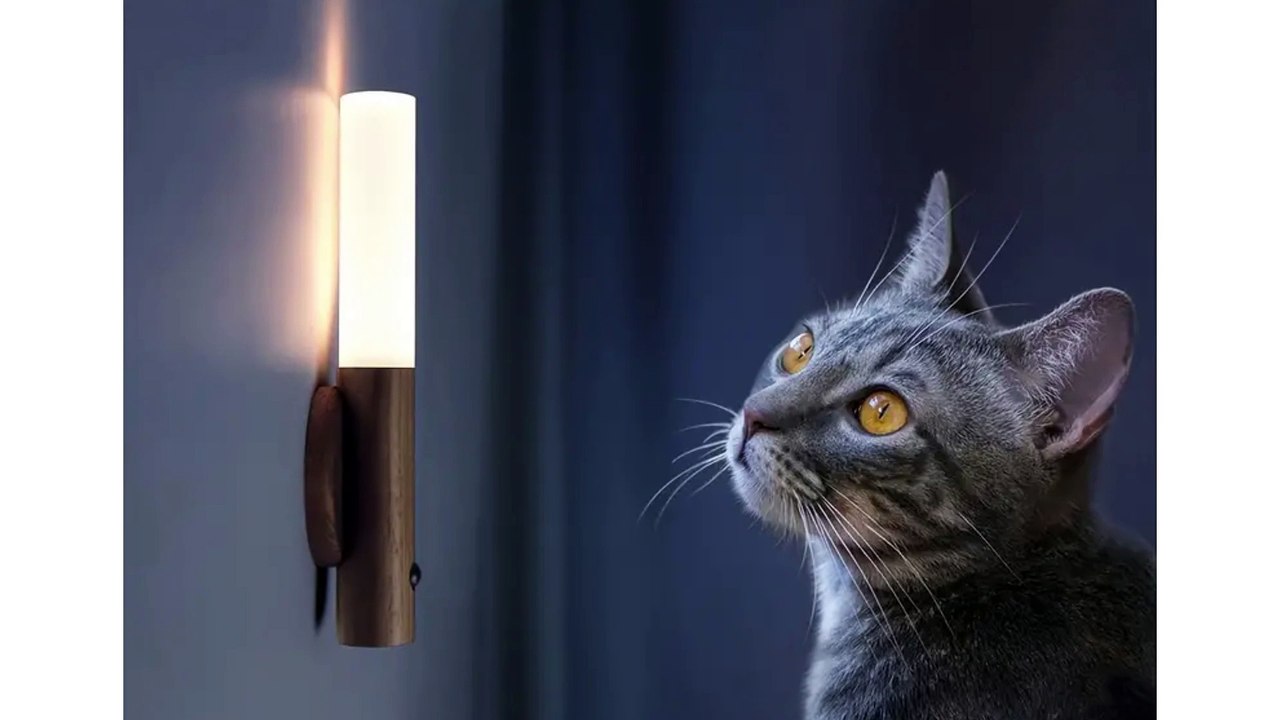 Rechargeable Motion Sensor Night Lights, Wooden Wall Sconce, Battery Powered Cabinet Lights 2024