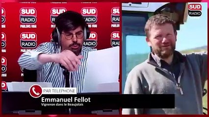 Le Beaujolais nouveau arrive ce jeudi