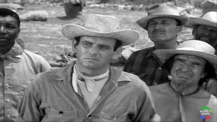 Fugitivo  1x7  HD Latino  Serie Retro