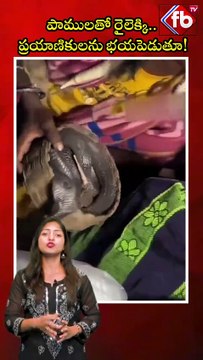 పాములతో రైలెక్కి.. ప్రయాణికులను భయపెడుతూ! #short #beggars #train #snakes | FBTV NEWS