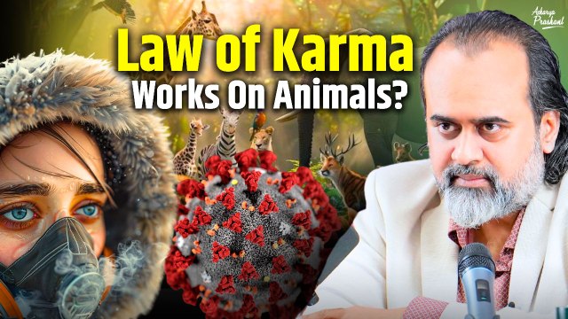 Why doesn't the law of Karma apply to animals? || Acharya Prashant, IIT-Kharagpur session (2020)