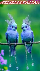 surah mulk 11 #quran #shorts #IslamicShorts #shortsvideo #shortfeed #NatureInspiredByQuran #bird