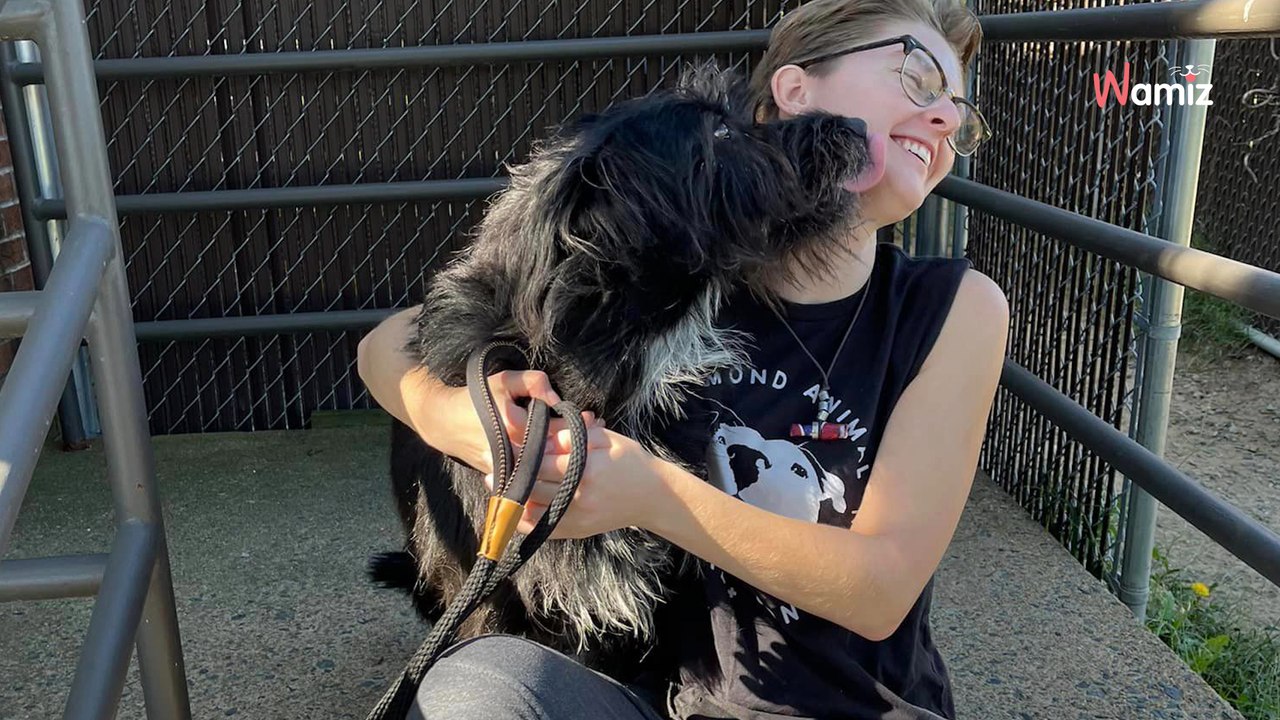 Entrümpler wollen eine Räumung räumen: Was sie finden, lässt sie erstarren