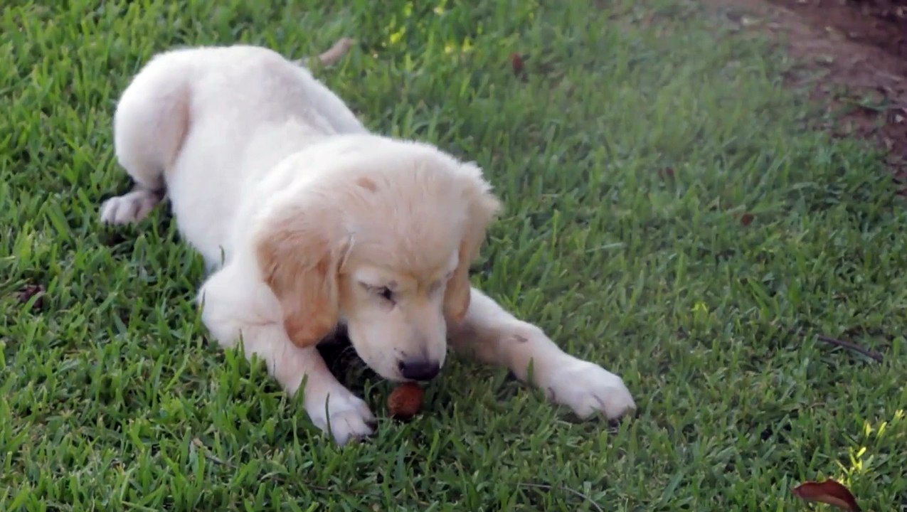 I don't chase people anymore