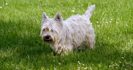 Boost Your Day with Powerful Motivation 💪