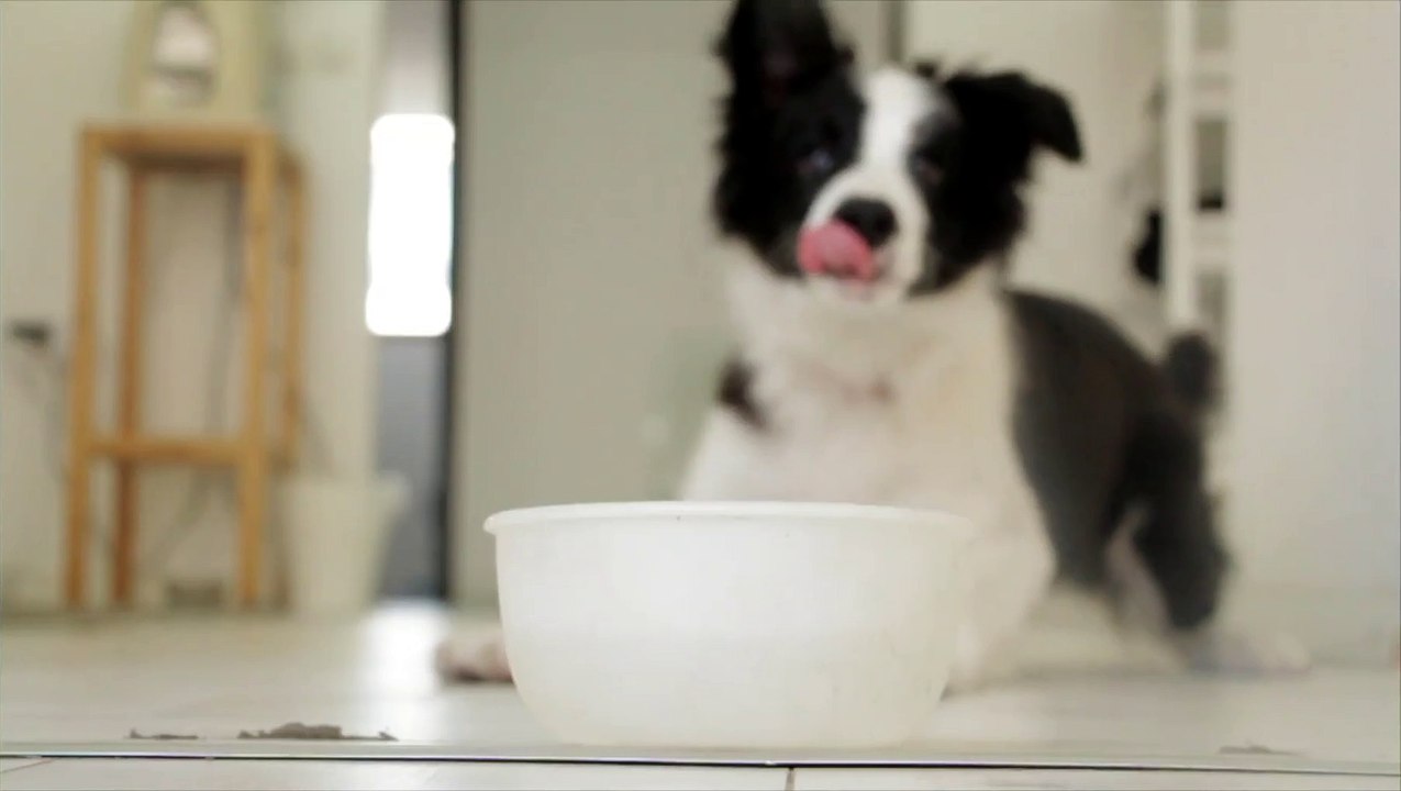 If you think you're perfect already