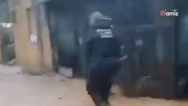 Inondations en Espagne : 39 chiens et 41 chevaux sur le point de se noyer sauvés in extremis