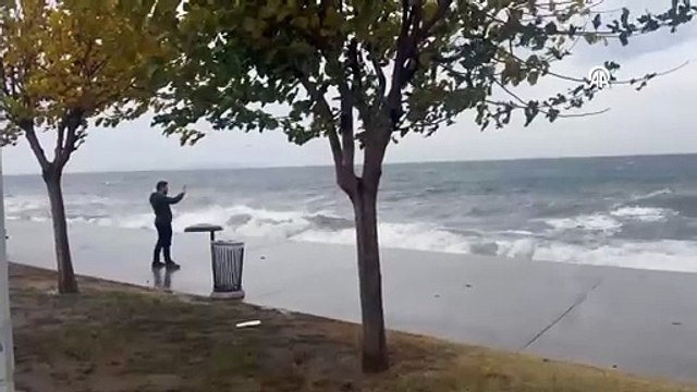 Marmara'yı lodos vurdu, ağaçlar tabelalar devrildi, hayatı felç etti
