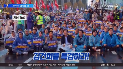 민주당 주말 집회서 ‘파란 의상’ 금지령, 왜?