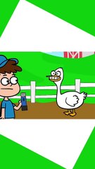 Holiday Farm Kids Song - Hooray Kids Music _shorts _animals _farm _hooraykidssongs(720P_HD)