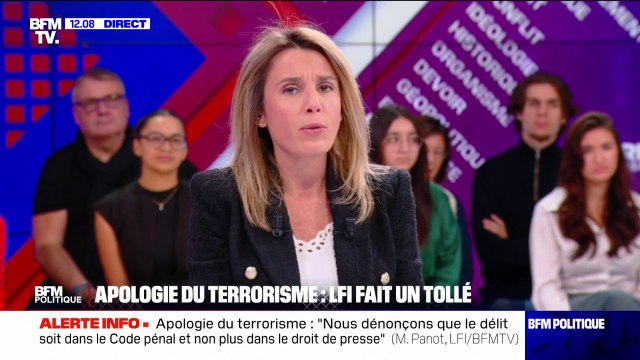 Abrogation du délit d'apologie du terrorisme: Ça n'a rien à voir avec nos intérêts personnels , assure Mathilde Panot (LFI)