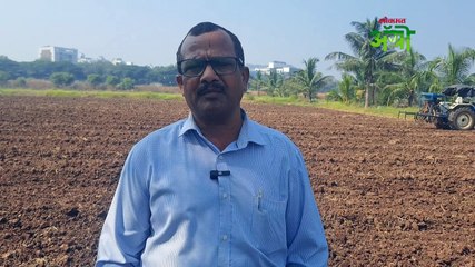 हरभरा पेरणीची वेळ गेली का