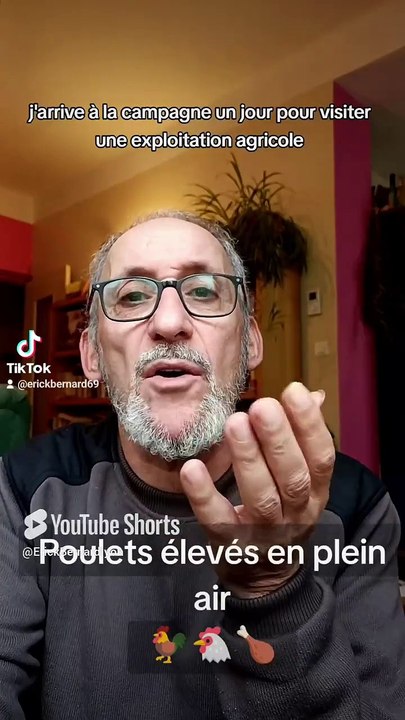 Poulets élevés en _plein air