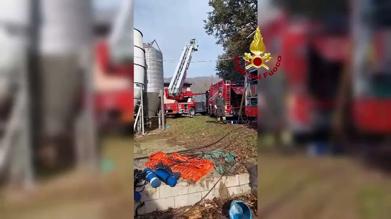 Incendio in allevamento umbro di pollame, gravi danni e molti animali morti