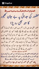 Hazoor saw ki judai par khajoor ka tana Bhi roo para