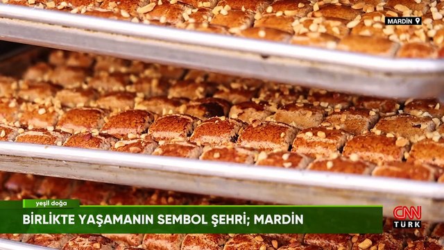 Çarpık yapılaşmanın içinde kaybolmuş Mardin konaklarının hikayesi Yeşil Doğa'da ekrana geldi