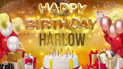 HARLOW - Happy Birthday Harlow