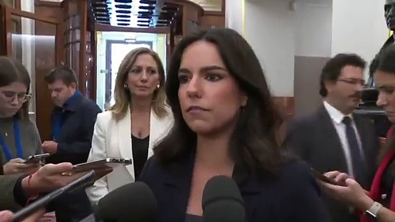 Pepa Millán afirma que Sánchez en el banquillo y adelanta que Vox pedirá su imputación por las declaraciones de Aldama