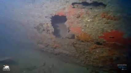 Il video dell'aereo della II Guerra mondiale ritrovato nei fondali di Siracusa