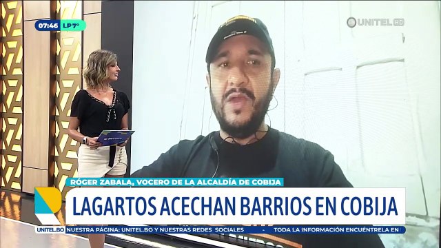 Lagartos rondan por zonas urbanas de Cobija tras el colapso de las alcantarillas producto de las intensas lluvias