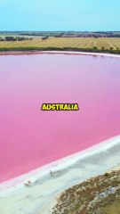 Did you know Australia has a pink lake?