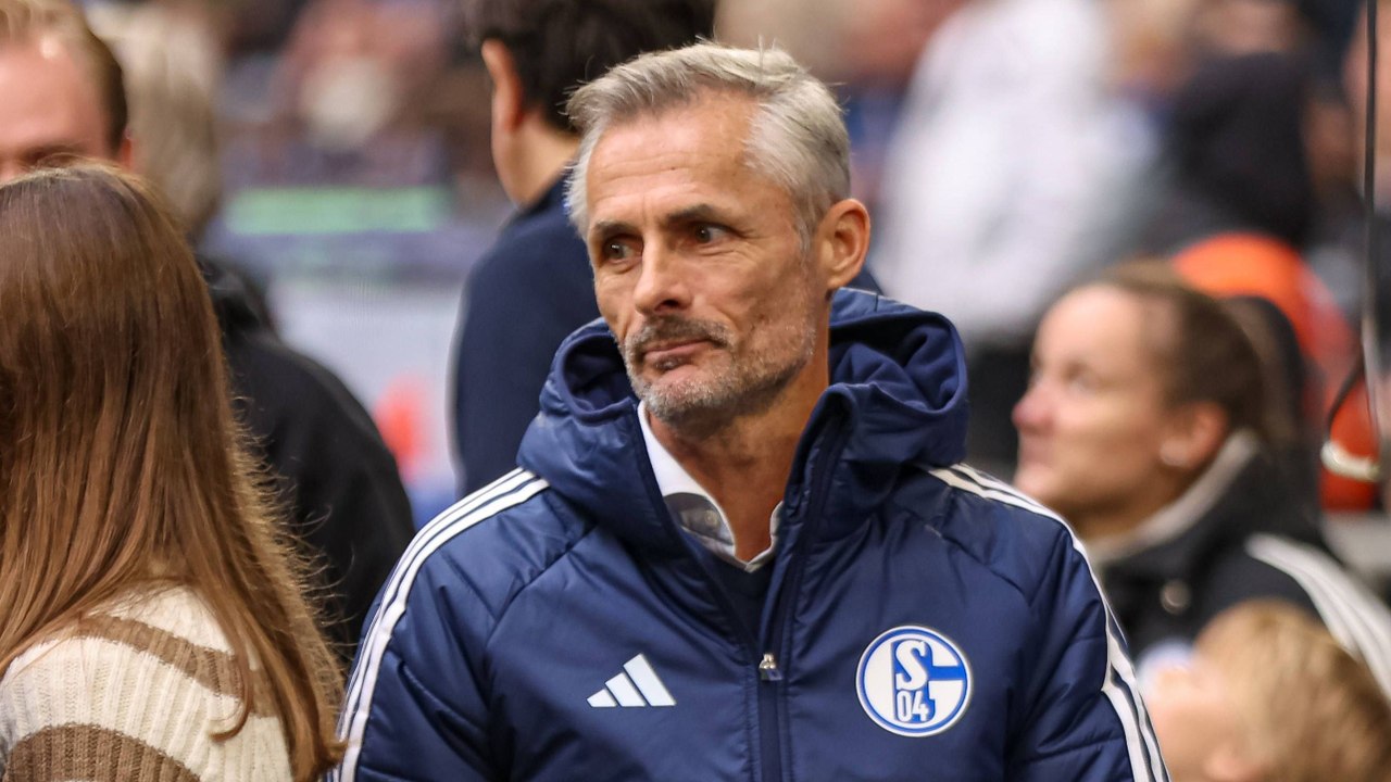 Schalke bereit für den HSV? Van Wonderen: 'Sie haben auch Druck'