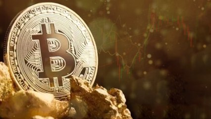 Giá Bitcoin tăng sốc không ngừng, đã gần chạm ngưỡng 98.000 USD: Giới hạn nào sẽ bị phá nữa?
