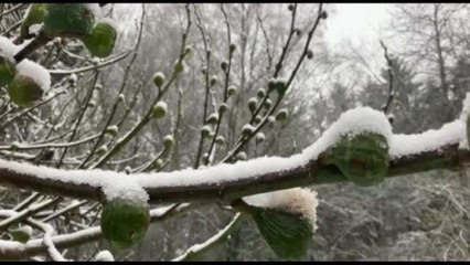 Francia, prima neve a Parigi, fiocca a Montmartre
