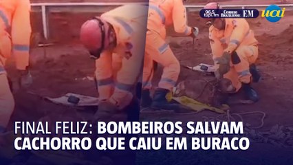 Bombeiros salvam cachorro que caiu em buraco, em Araguari