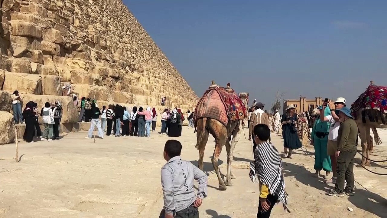 Internethund macht Streuner an den Pyramiden zu Stars