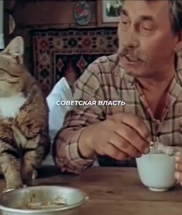 Избаловала тебя Советская власть! Прежде вас, котов, и вовсе не кормили, сами себе мышей добывали!...