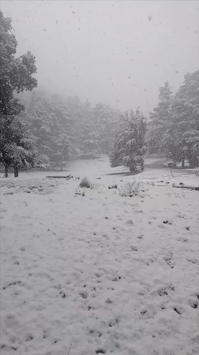 La neige est tombé sur Ifrane, la petite Suisse du Maroc.