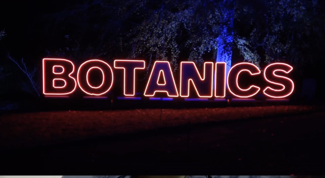 Christmas At The Botanics 2024 is 'magical and spectacular' says RBGE's